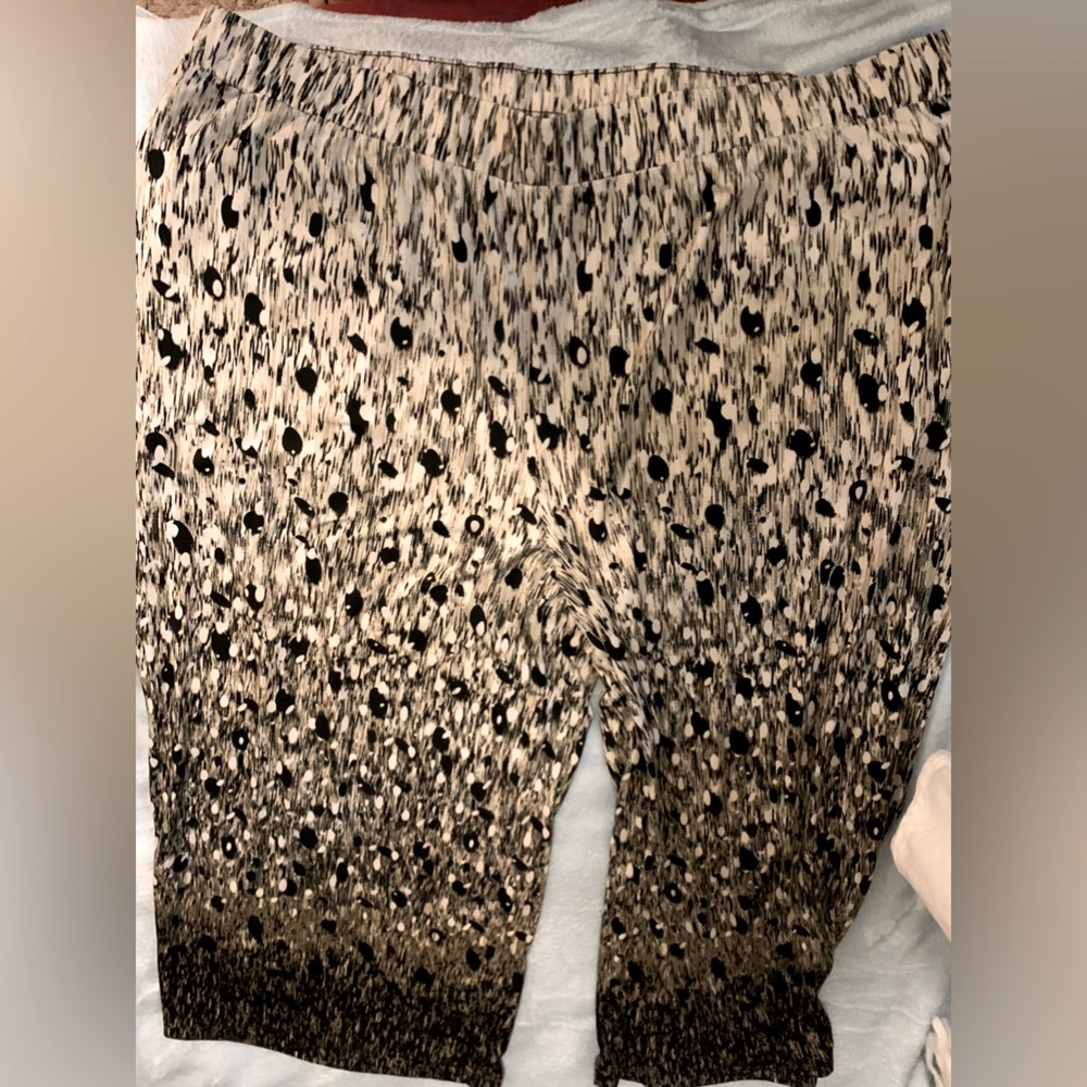 🤎Belle by Kim Gravel Capri 🩳 - Picture 4 of 4